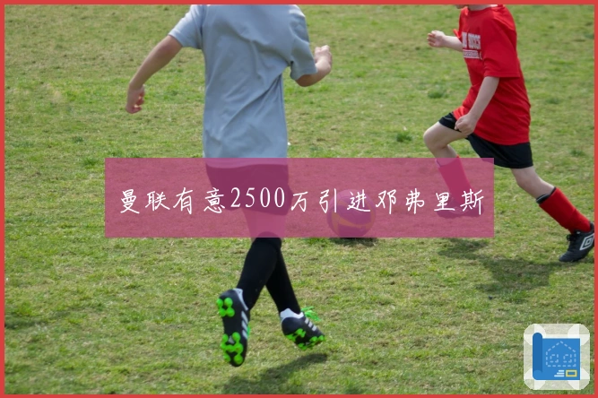 曼联有意2500万引进邓弗里斯