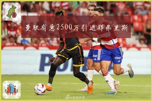 曼联有意2500万引进邓弗里斯