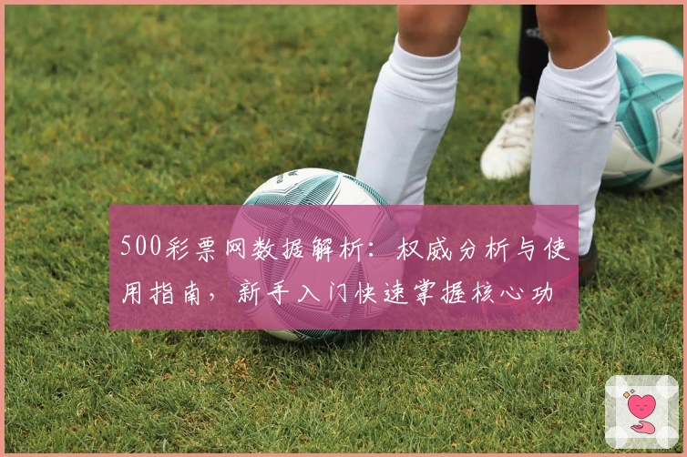 500彩票网数据解析：权威分析与使用指南，新手入门快速掌握核心功能